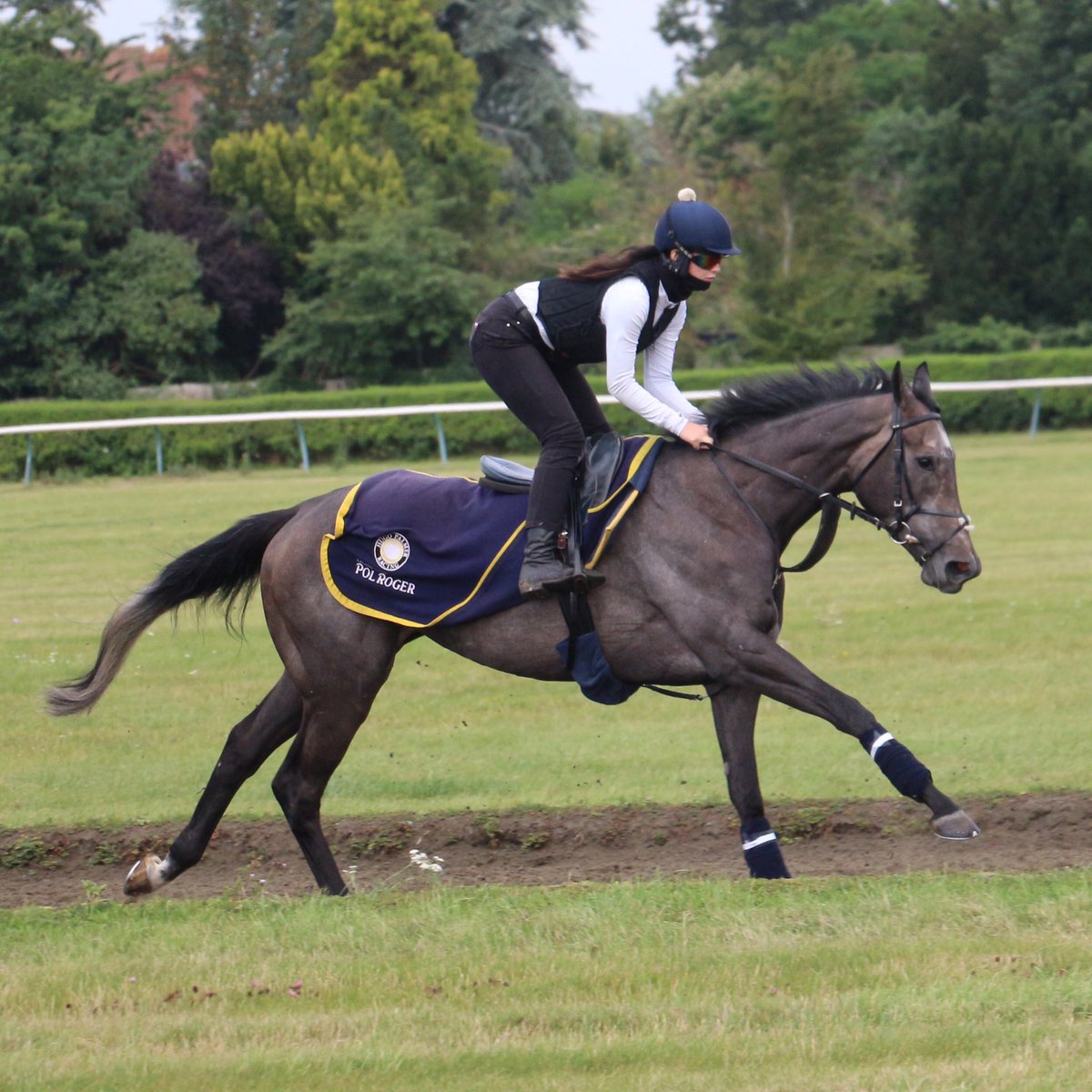 hpalmerracing's tweet photo. GOOD SOUL (Mukhadram - Royal Dalakhani) will line up at @ChelmsfordCRC this afternoon for the 1m6f Handicap at 4pm. @the_doyler takes the ride. Best of luck to the owners of this 3yo filly, Kremlin Cottage IX.
.
@philippamains @rob_speers @spenlar #mukhadram #poweredbypolroger https://t.co/4jUd5kVhsC