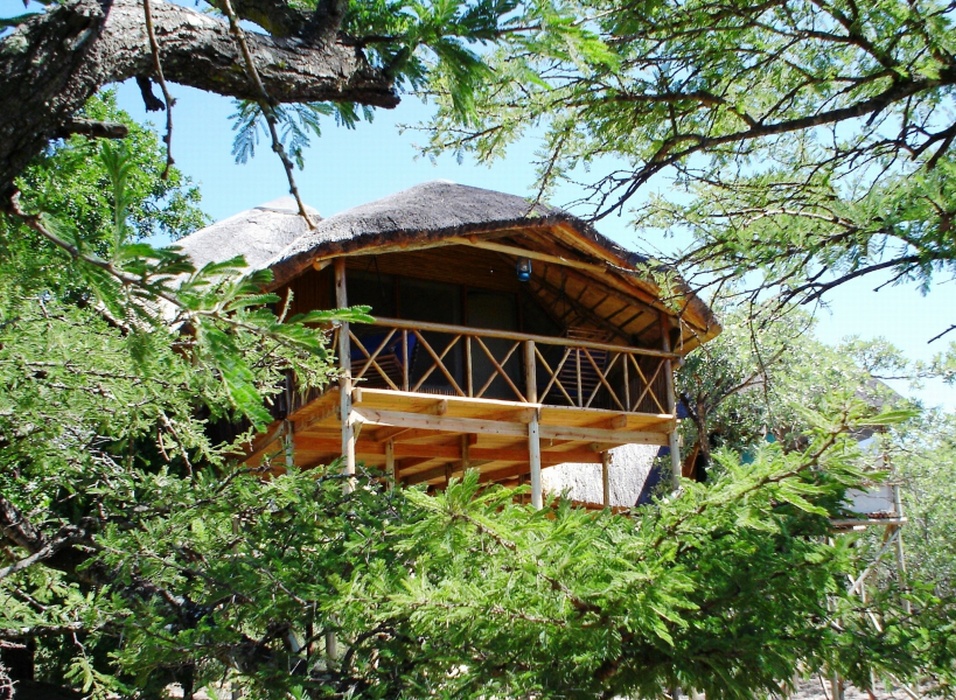 In the Treetops: A Fabulous Treehouse Safari Getaway in Limpopo exclusivegetaways.co.za/2021/05/13/in-…