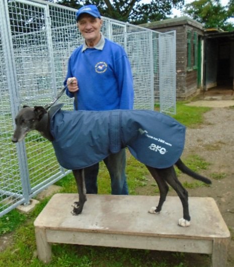NewcastleDogs's tweet photo. This is Lumina Python trained by John Walton. He is now retired having race 200 times for the kennel at Newcastle. He has been a grand servant to John and Barbara Walton and we wish him a wonderful retirement. #ThePython https://t.co/h62RVIKPVi