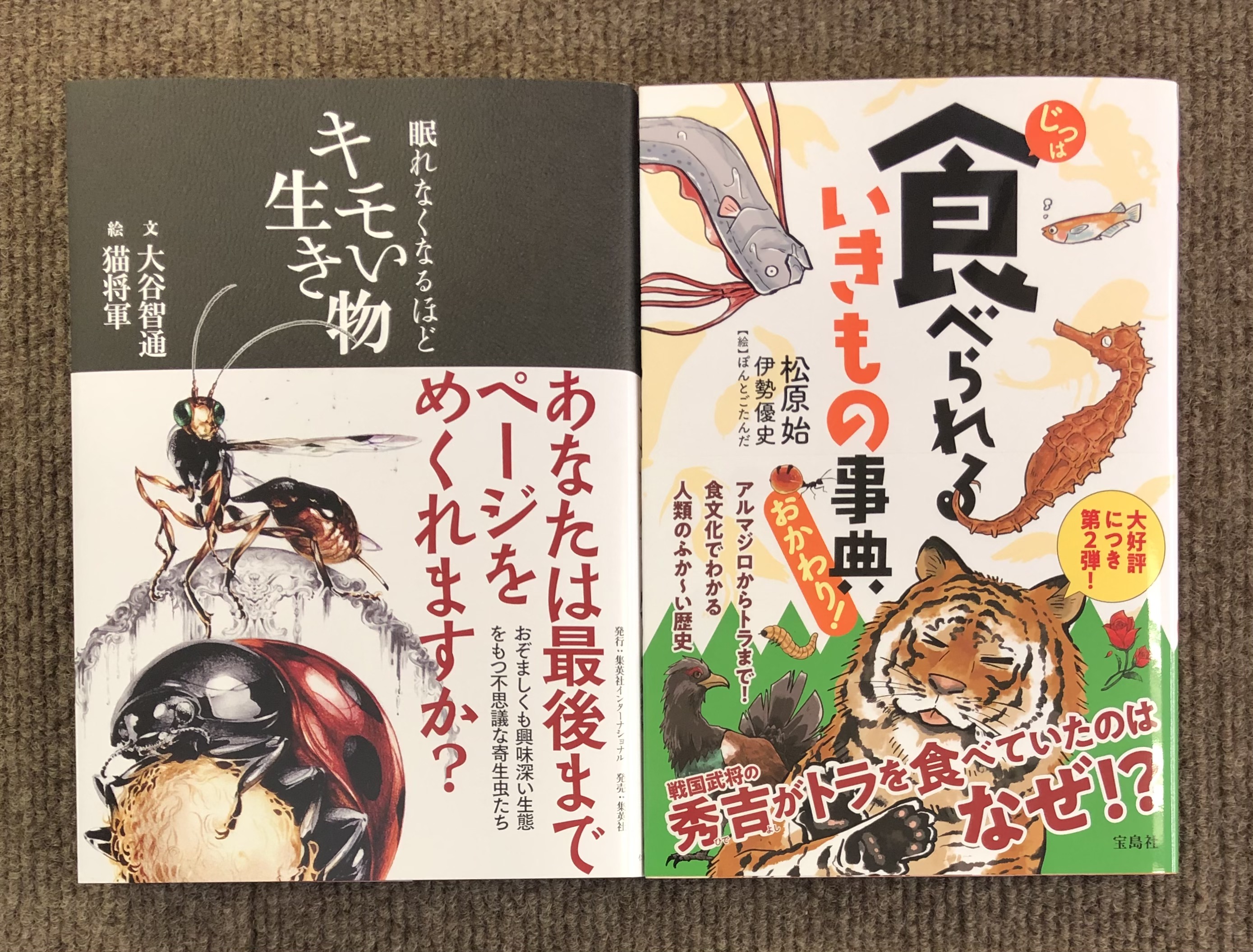 ぽん ソニー坊や ソニー坊や ZX-5 1983年9月 | ソニー坊やと呼ばれ