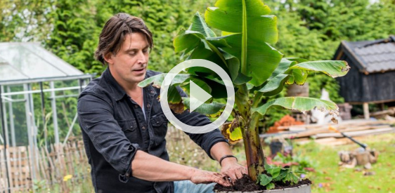 Nederlands bekendste tuinman, presentator en vooral voorvechter van een duurzame wereld: LodewijkHoekstr. is één van de hoofdsprekers op NCBOR 2021. Wij gingen alvast met hem in gesprek over een groenere en duurzamere wereld. #NCBOR bit.ly/3Bh9FIn