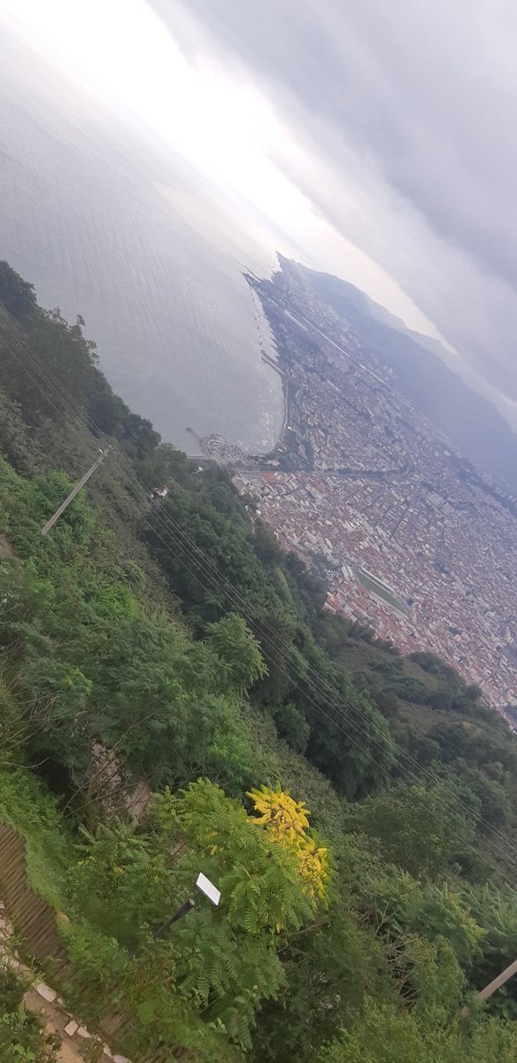 Vatanından koparılmış bir gülün garipliği bendeki. 
İlk güneşle solduğum bu eğriti saksı benim. 
Çekilmiş pimi yıldızlarımın. Göremediğim şafaktan evvel giydiğim ölümler benim!
 
                      Saksı gurbet ve güneş sonum!

kbanudag📸