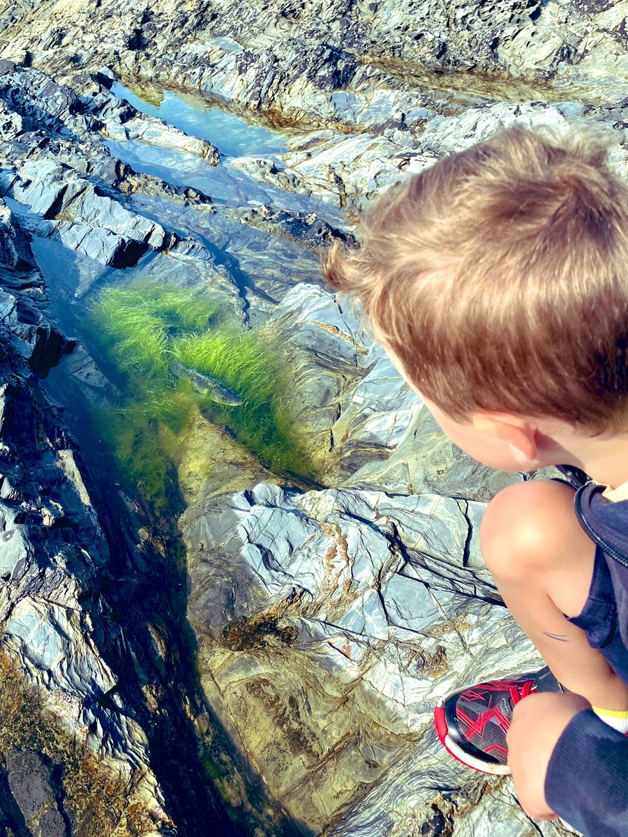 Bass spotting with the boy