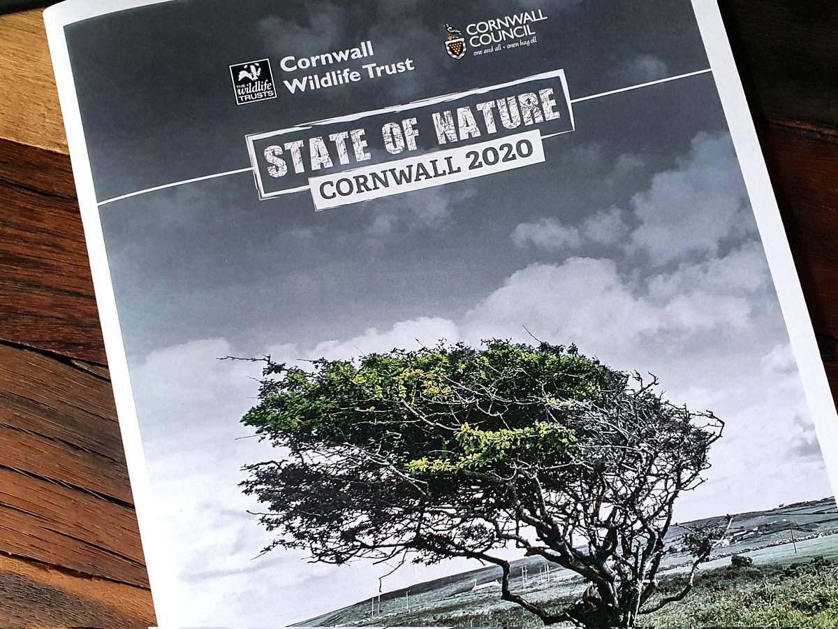 This has landed on my desk. I'm looking forward to reading it. Cornwall is such a beautiful place to live and work and we all have a duty to help bring nature back.
@CarolynCadman @CwallWildlife 
#Cornwall #nature #bringnatureback