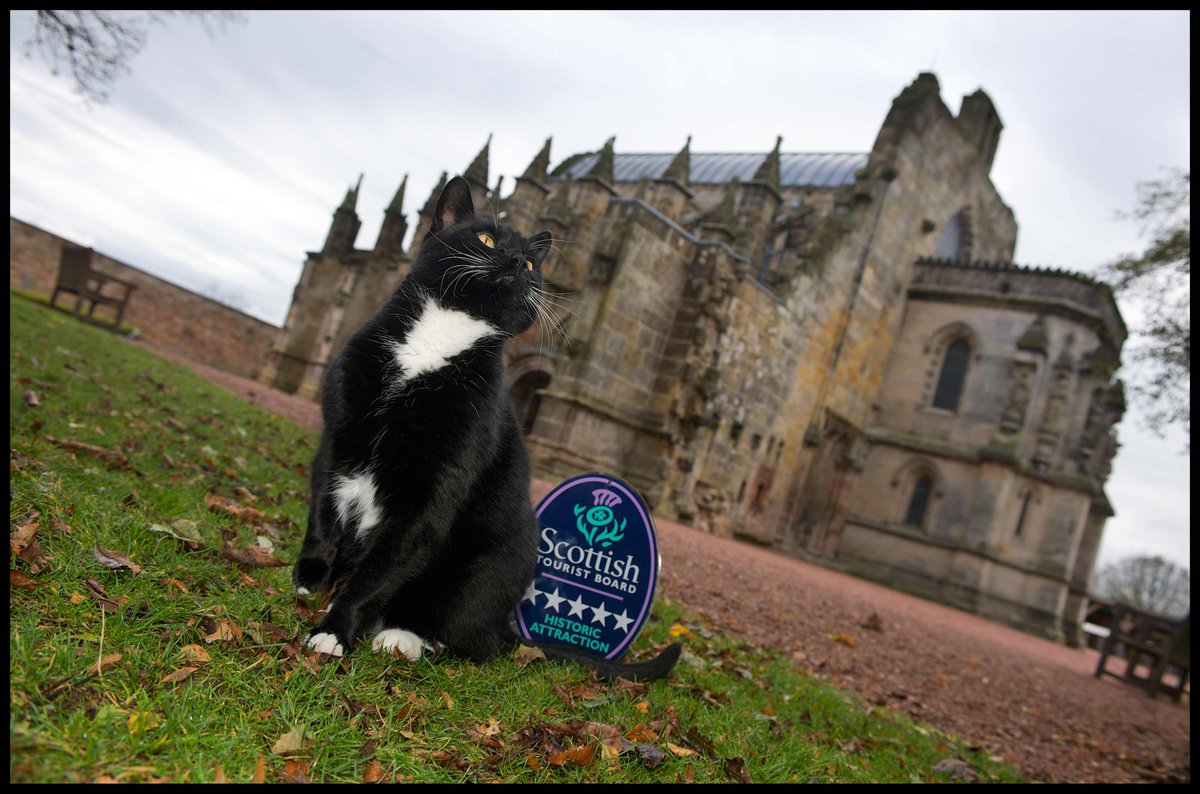 We are all very sad to announce that William the Chapel Cat passed away very peacefully yesterday afternoon -  
rosslynchapel.com/news/william-t…