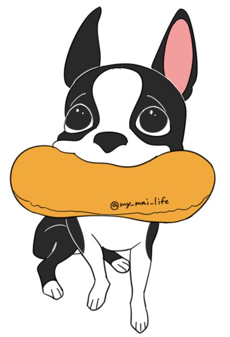 ボストンテリアのtwitterイラスト検索結果