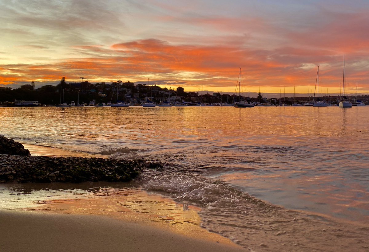 היום הודיעו אצלינו בNSW שרק מאמצע החודש הבא חמישה מחוסנים יוכלו להיפגש באויר הפתוח
על בית-כנסת (ואפילו מניינים בחוץ) לר״ה ויוה״כ קשה אפילו לחלום…
החיים בסגר שלא נגמר, (עם שקיעות מרשימות ;-)
תכלה שנה וקללותיה ותחל שנה וברכותיה

#COVID19nsw
#Sunset