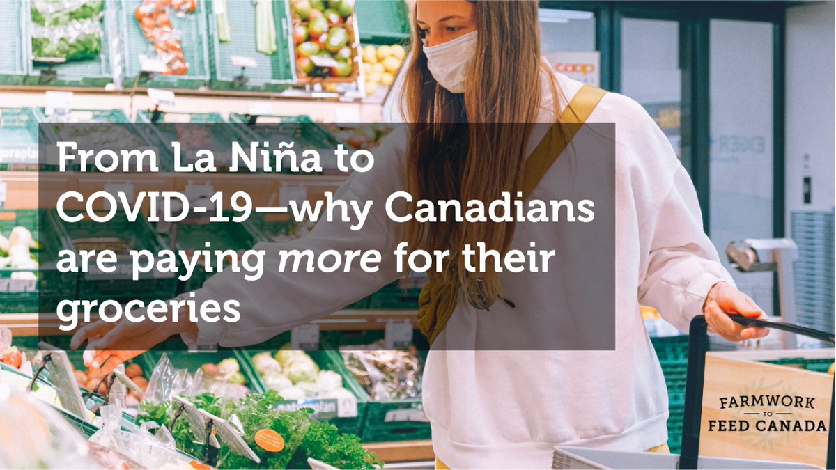 Farmwork to Feed Canada tweet media