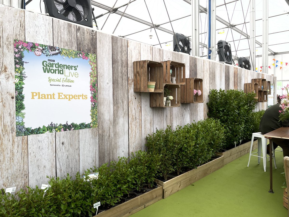 hedgesdirect's tweet photo. We have some of our hedging plants on display at the subscriber club lounge, Gardeners World Stage &amp; The Plant Experts Stage 🌿 check them out if you are at the show today 😁! #BBCGWLive @GWandShows https://t.co/4ZdA0gohlz