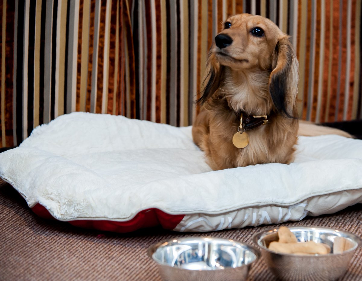 Chesterfield Hotel tweet media