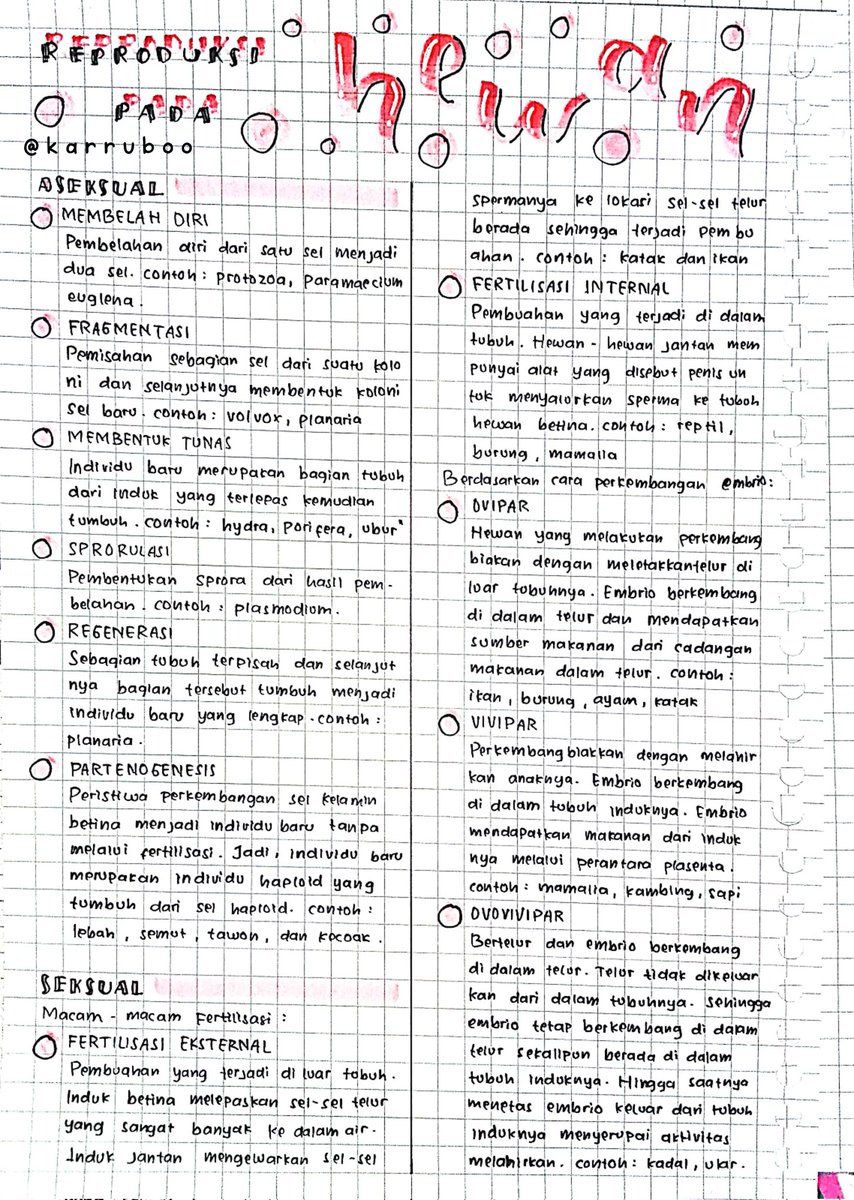 karruboo's tweet image. Kelas 9 - IPA
Bab 2 Sistem Perkembangbiakan pada Hewan dan Tumbuhan:
— Reproduksi pada Hewan
— Reproduksi pada Tumbuhan
— Metagenesis (Lumut & Paku)