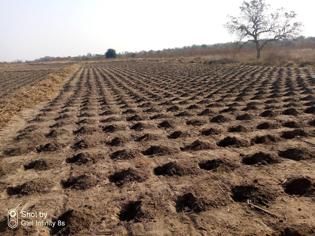 John Basera tweet media