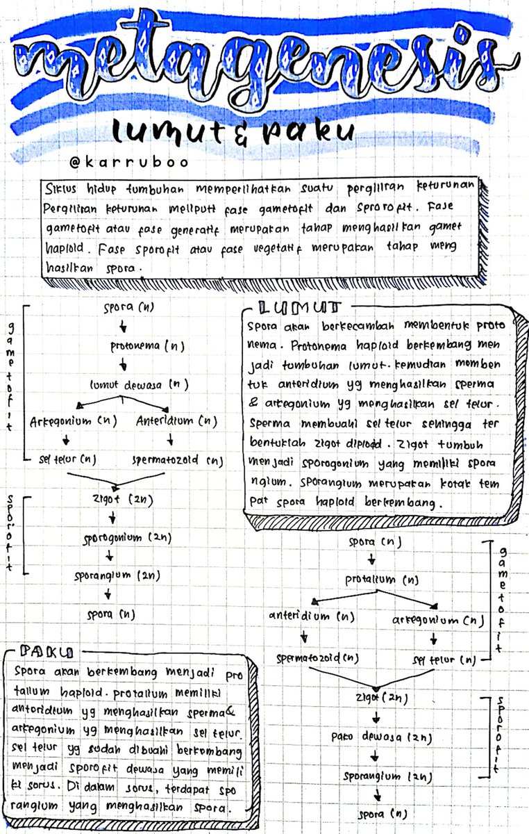 karruboo's tweet image. Kelas 9 - IPA
Bab 2 Sistem Perkembangbiakan pada Hewan dan Tumbuhan:
— Reproduksi pada Hewan
— Reproduksi pada Tumbuhan
— Metagenesis (Lumut & Paku)