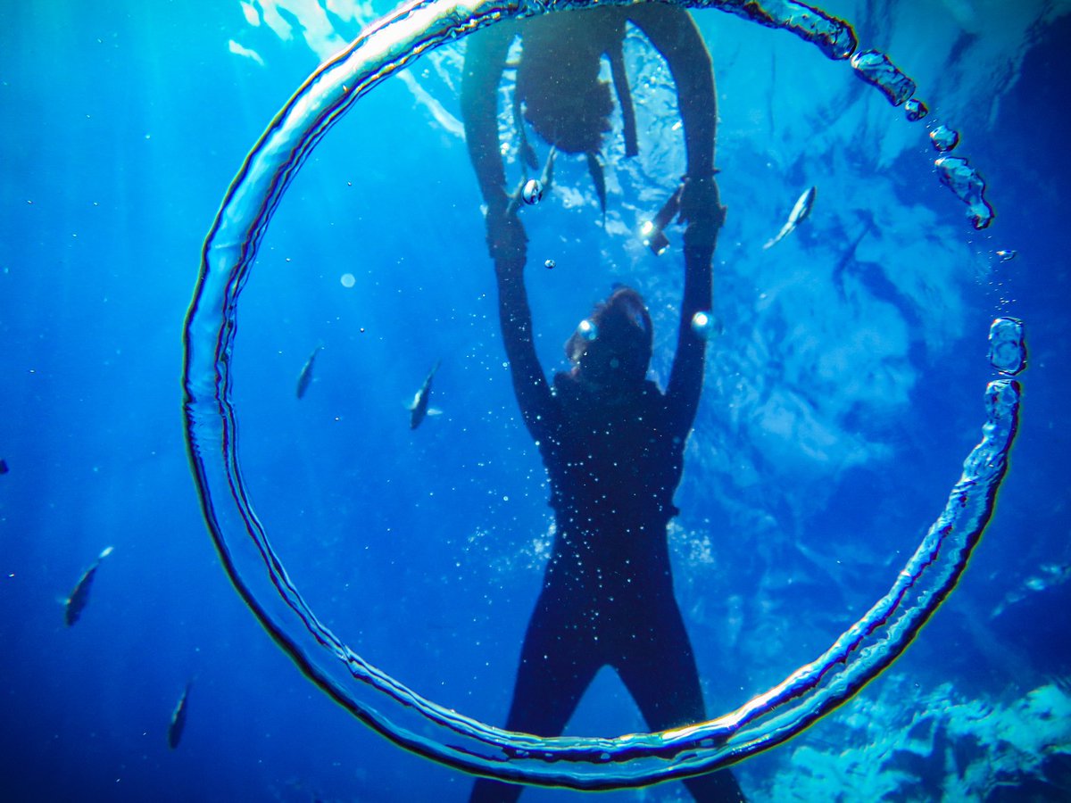 #WhereIsParadice?
<a href="/paradiceishere/">KM4K</a> !