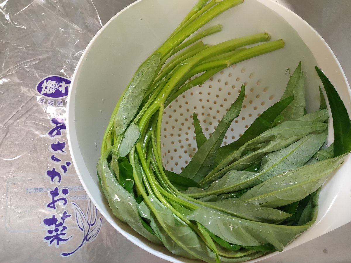あさがお菜 あさがお菜