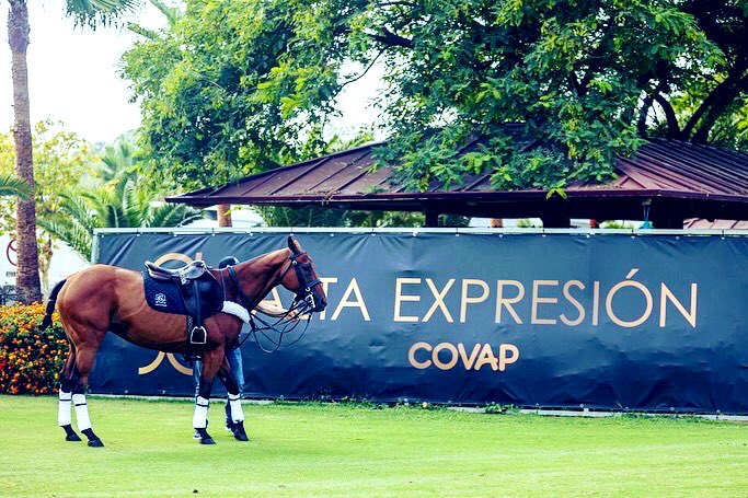SponsoryMedia's tweet photo. Este fin de semana se disputan las finales de la🏆Copa de Oro 50 Aniversario! 💥
#50torneointernacionaldepolo 🐴
#polosotogrande
#lovepolo
#sponsorships
📸@matcallejo https://t.co/ch8VCpDS2g