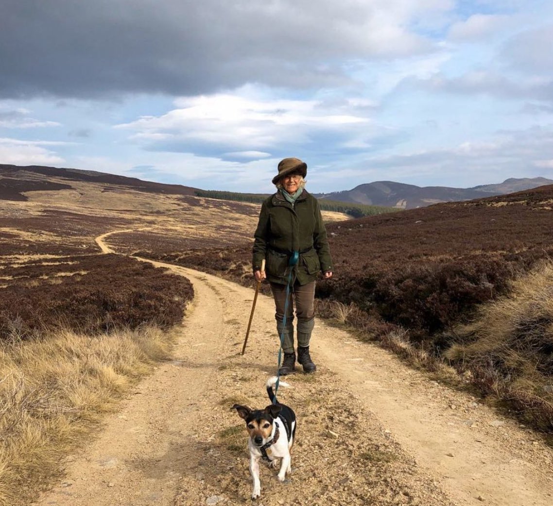 🐾 🐶 On #InternationalDogDay, we are highlighting the tail-wagging work of The Duchess’s canine patronages and charities!