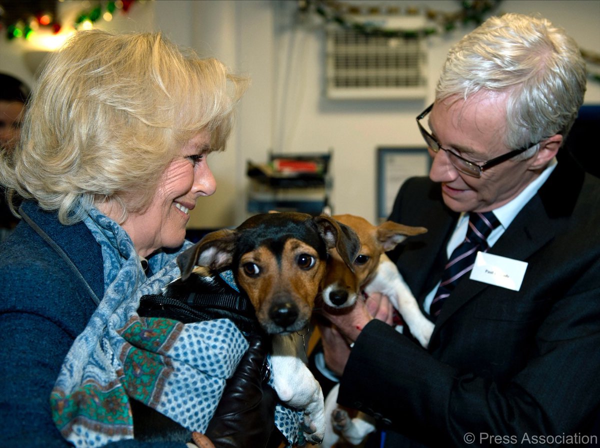 Having welcomed their first stray dog in 1860, <a href="/Battersea_/">Battersea</a> have cared for over 3.1 million dogs and cats in their 161 year old history. 🐕 

Her Royal Highness’s own dogs, Beth and Bluebell, were adopted from Battersea! #InternationalDogDay