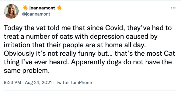 choicevets_'s tweet photo. Only cats would need to be treated for irritation that their owners are around too much 😂 🐈

This wonderful tweet from @joannamont made us laugh this morning, so we want to ask our vets: what is the strangest thing you have had to treat an animal for?

#vetmemes #vetproblems https://t.co/nhGj1RVvGW