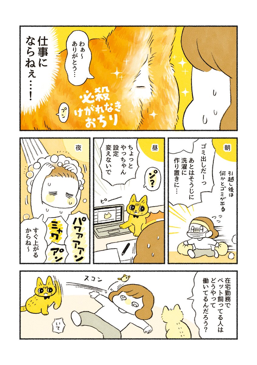 引越し後の生活リズムを整えようとしたお話 