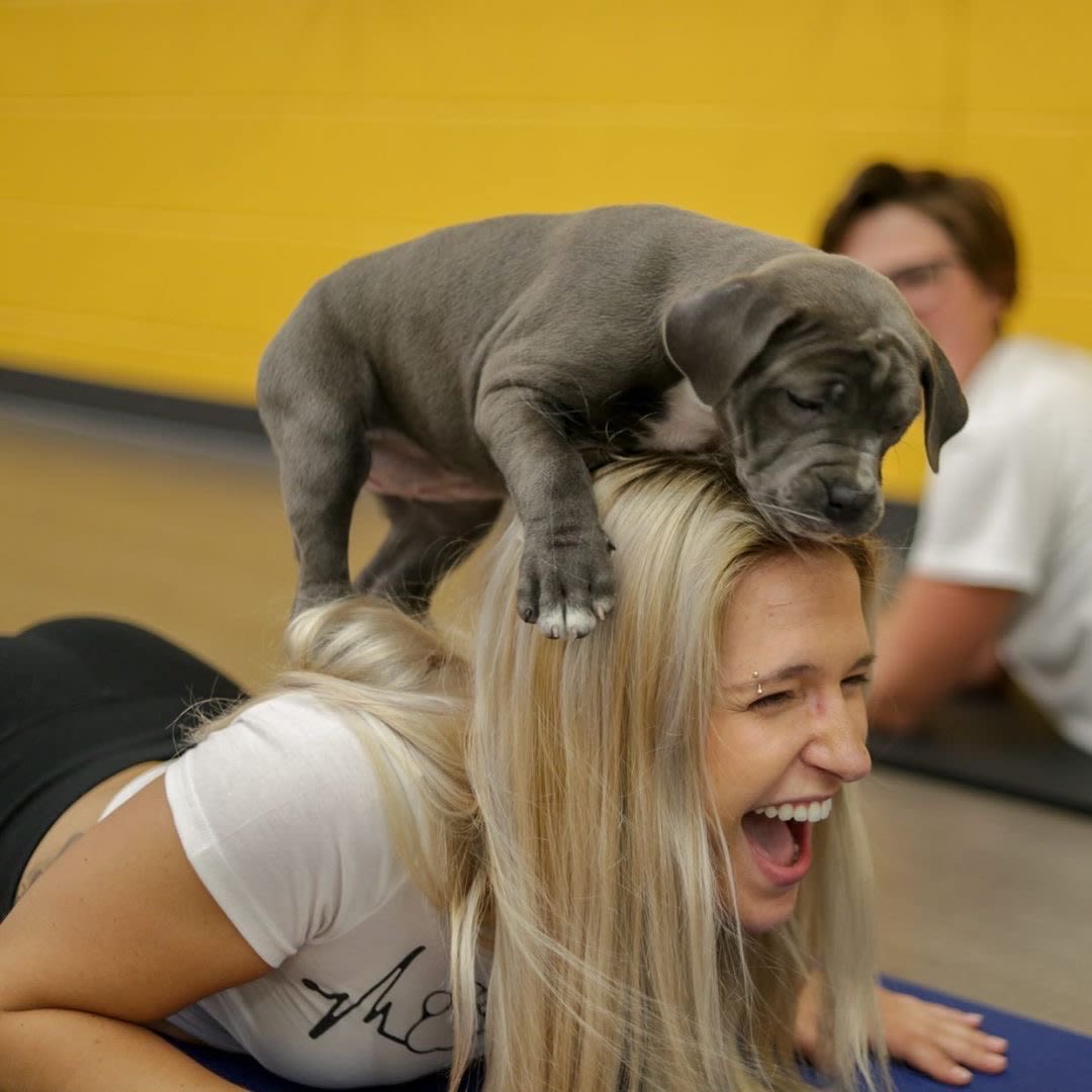 RetroOceanside's tweet photo. National Dog Day is the perfect time to celebrate your favorite furry companion!  We want to see pictures of your four-legged workout buddy! Post your favorites below.  👇🐶🐾

#NationalDogDay #RetroFitness https://t.co/onkOgmxK5E