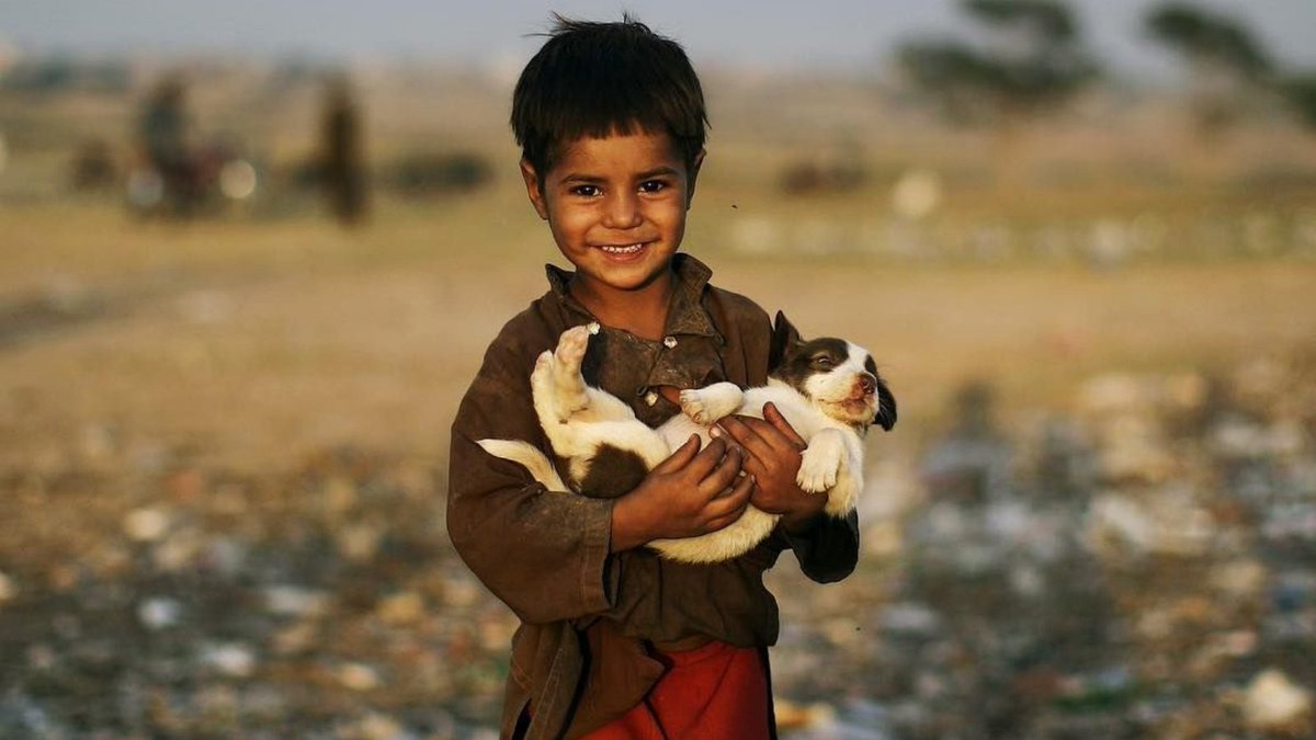 actionsyriauk's tweet photo. It's National Dog Day πΆ
Here's a photo by @mmuheisen of Samiullah, a 5-year-old #Afghan #refugee boy in Pakistan, after he found a #puppy.
#MuhammedMuheisen #EverydayRefugees #HandsUpFoundation #Syria #Charity #NationalDogDay @NationalDogDay https://t.co/HQqwzHNjby