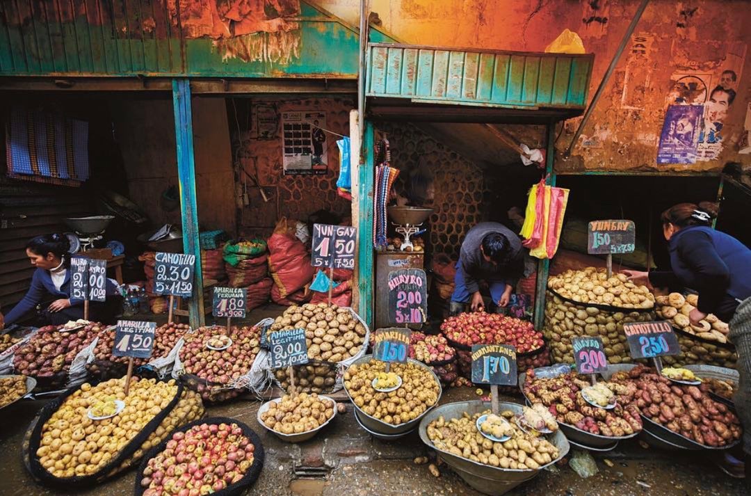 Papa Peruana 🍠🖤 , in other words - Peruvian potato.

Did you know that today you can find over 4,000 varieties of native potatoes grown in the Andean highlands of Peru? 
They come in every shape and colour, including blue 💙, yellow 💛, red ❤️, pink 💗and even bri