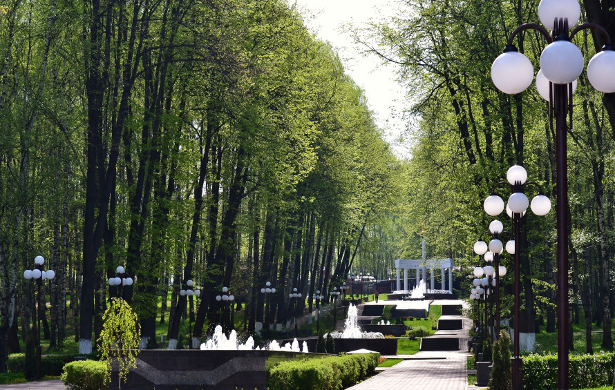 Пкио березовая роща дмитров. Парк березовая роща дмитров. Березовая роща дмитров фонтаны. Пкио березовая роща новосибирск. Парк березовая роща город дмитров.