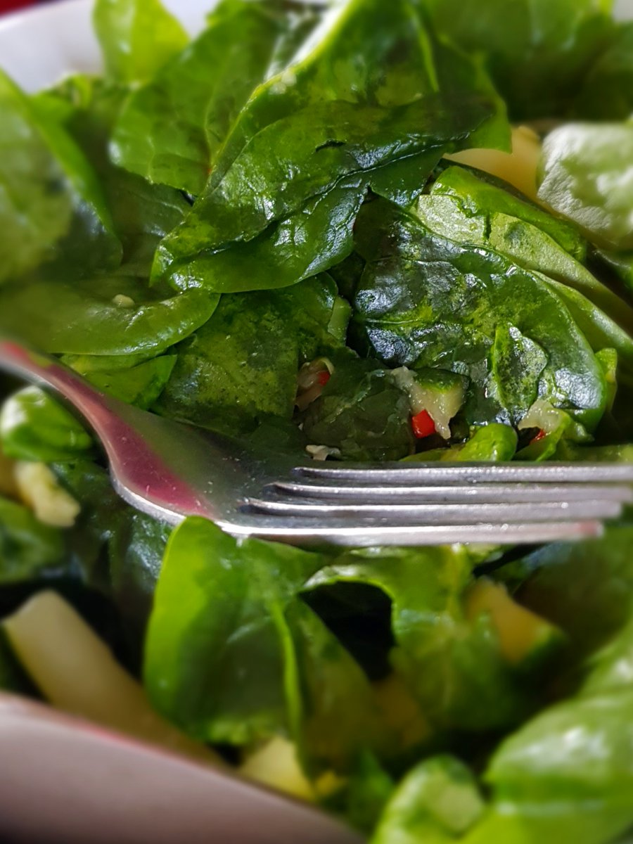 RotaryCantUK's tweet photo. Nowadays it's so easy to nip out to the local store & buy some spinach - but how much thought do we give to how that spinach was grown? Well, many of our Members learnt more the other day when we went to visit PM Mayes Farm in Ickham.
https://t.co/ExKbEDYIkq
#dayatthefarm #rotary https://t.co/tanl6iNL0o