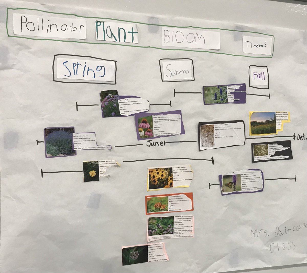 Mrsrisingernbe's tweet photo. Loved being at New Britton Elementary yesterday and seeing that a first grade class was thinking, wondering, and learning about pollinators!  Wow! https://t.co/buXR4UpPEu