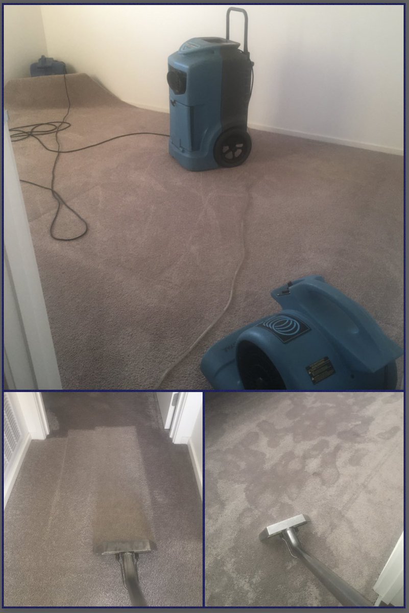 SevenStarCarpetCare tweet media