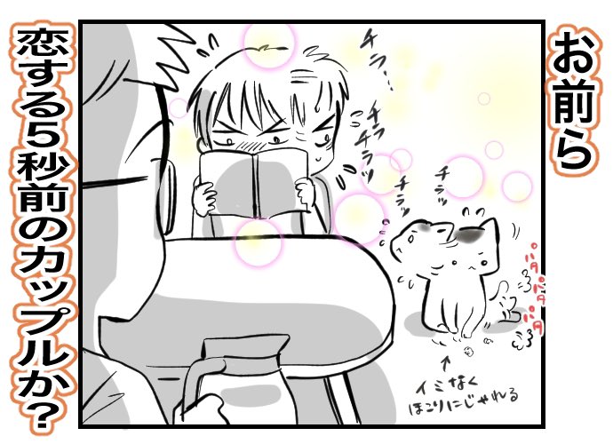 #ねこのまめもち
夏休み中にまめもちと仲良くなりたい猫山くん

マジで恋する5秒前

#気まぐれ更新#illustration #manga#comic#猫#猫マンガ#ほのぼの#日常 