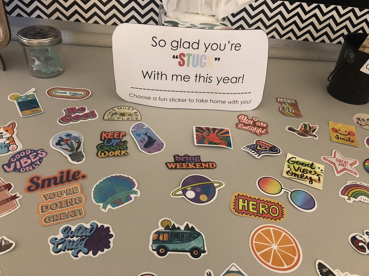 Nizama Dervisevic Shearer tweet media