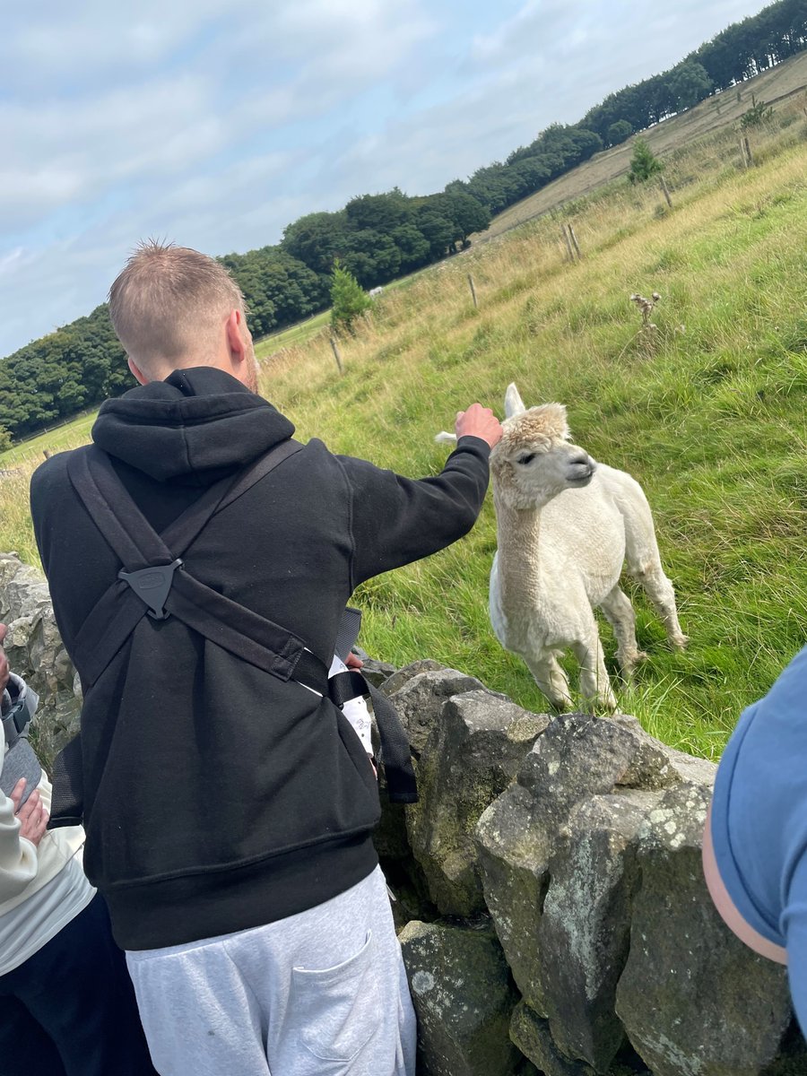 PhoenixFutures1's tweet photo. Yesterday, some families from one of our Family Services went to an alpaca farm! We couldn't resist sharing some of their fluffy faces ππ¦π¦π¦π¦
#alpaca #alpacafarm #recovery #FamilyService #PhoenixFutures #recoveryUK https://t.co/vabqOrz8CI