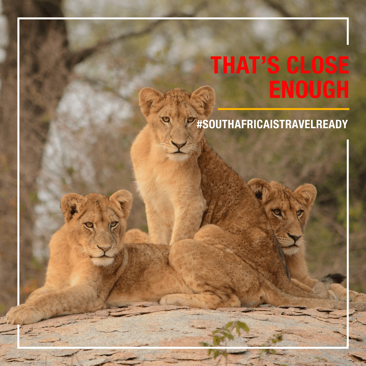 Encourage your friends and family to get their #Jab4Tourism!  #SouthAfricaisTravelReady #TourismRecovery