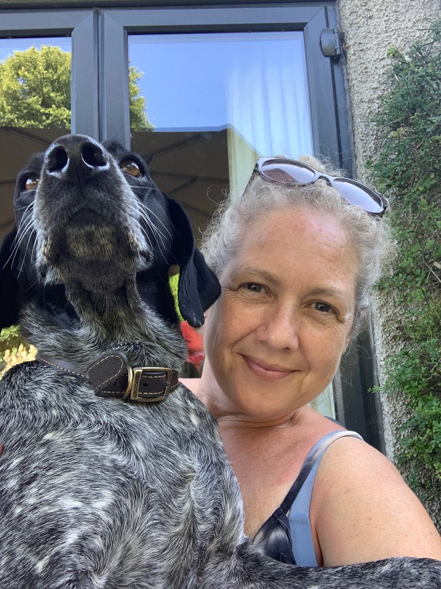 cliffe_ali's tweet photo. These pair get me through ❤️ you Dexter&amp;Duke. Dexter was rescued from #ManyTears in Wales as a pup &amp; Duke from #PointerRescue in Cyprus at about 18mths. Living their best life 🐶🐕🐾Thank you to all those around the world involved in #DogRescue #DogRehoming 
#InternationalDogDay https://t.co/7uYNcsjQAW