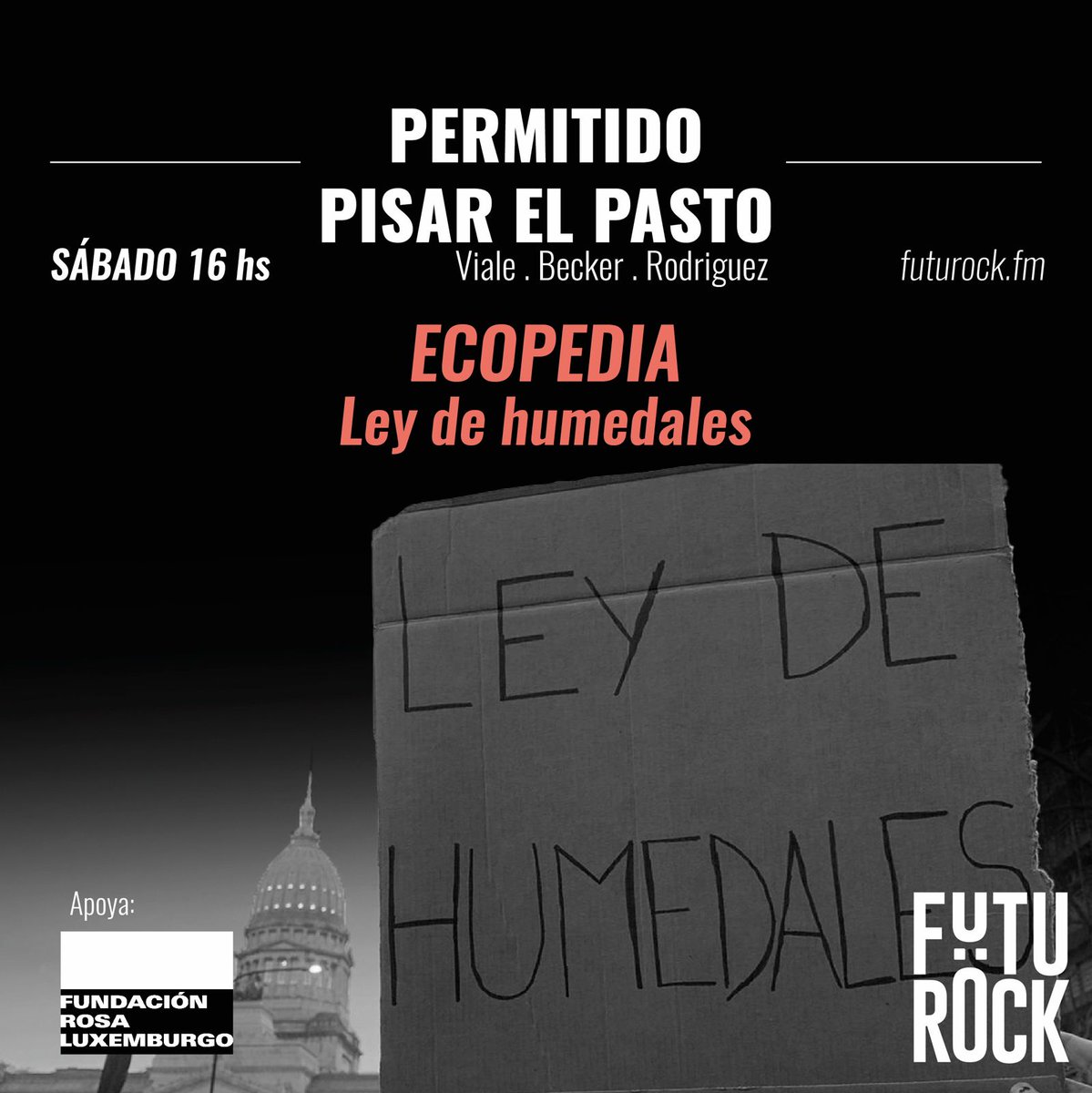 rosalux_conosur's tweet photo. #PermitidoPisarElPasto 🥾🌱 

En esta edición de #Ecopedia hablamos de la ley de humedales. 
🦫 También hubo una interferencia del Comando carpincho para la liberación del humedal de Nordelta.

🎙️ https://t.co/SlVqk0yO6X

⚡️@futurockOk @EnriqueViale @Brunorodok @nickibeckerok 🚀 https://t.co/uRSls1LgOR