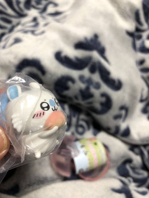 @nnnu0120 今、モモンガを確認しましたが桃のところに初期の塗装剥げがありました
いかがいたしますか……?
やはり大事な桃のところですし、交換のキャンセルしていただいても構いません 