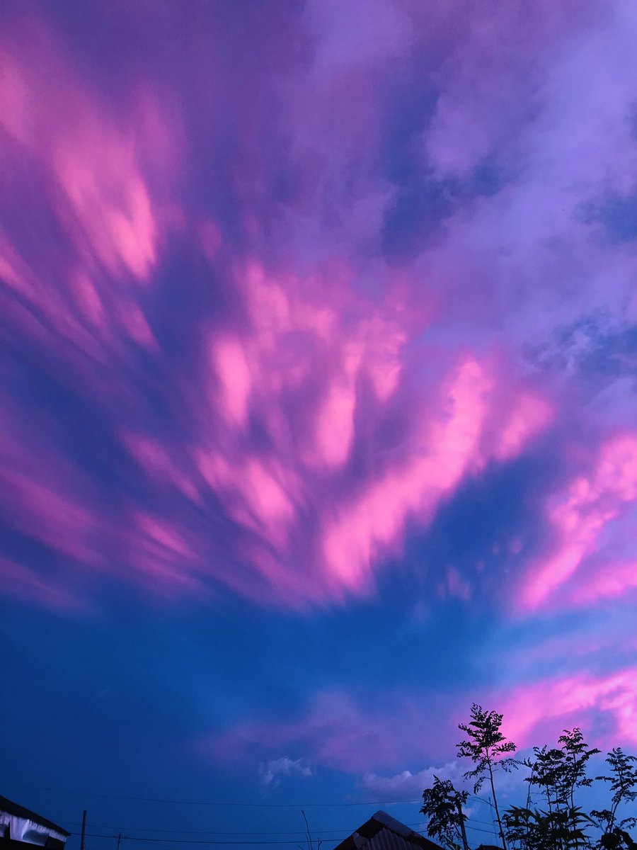 stephanyember's tweet photo. pretty soothing colours💗💙
#pinksunset https://t.co/se4n6nzvOz