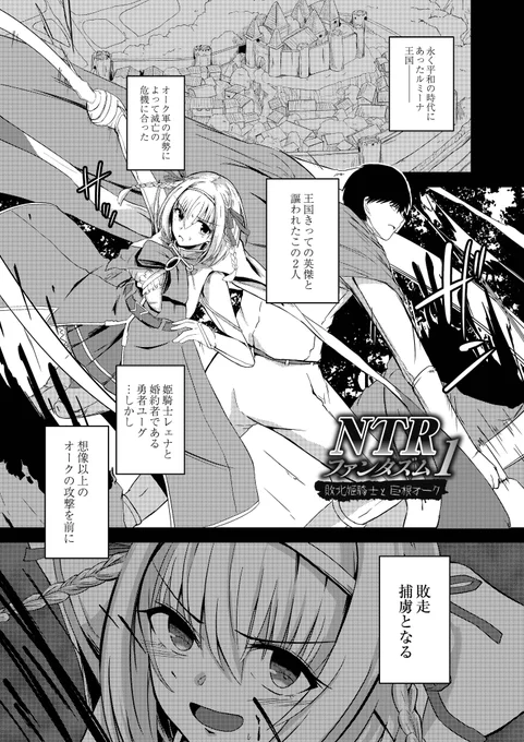 姫騎士VSオーク
 #co_reboot 