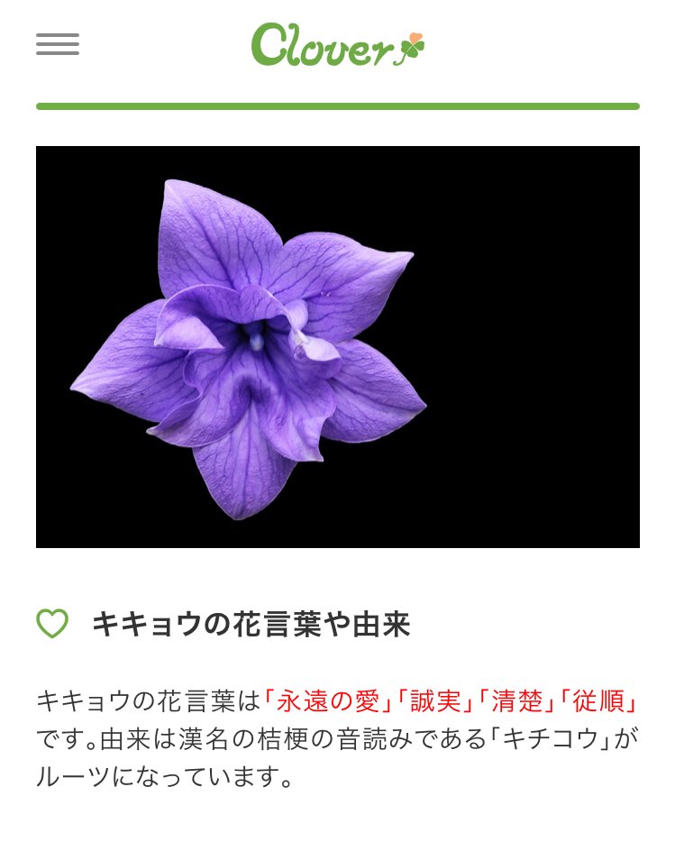 さばさばとら 雷電将軍が頭につけてる花の 花言葉が永遠の愛なんですよ やっぱり仲間への愛だったりするのかな しかも雷電将軍実装の9月1日が この花の誕生花でした なんてことしてくれるんだよmihoyo T Co 8atunkcxuy Twitter