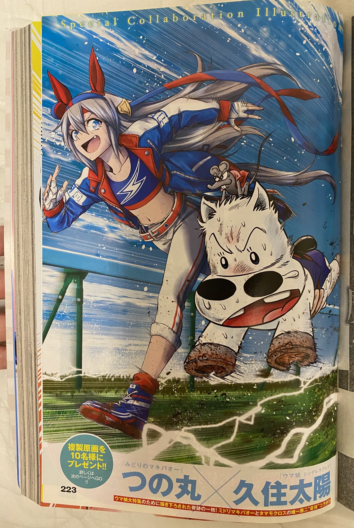鋼鉄 久しぶりにヤングジャンプ買った みどりのマキバオー見ていた世代だからこそこのコラボイラストは手に入れたかった ウマ娘 みどりのマキバオー T Co Whnllmhc53 Twitter