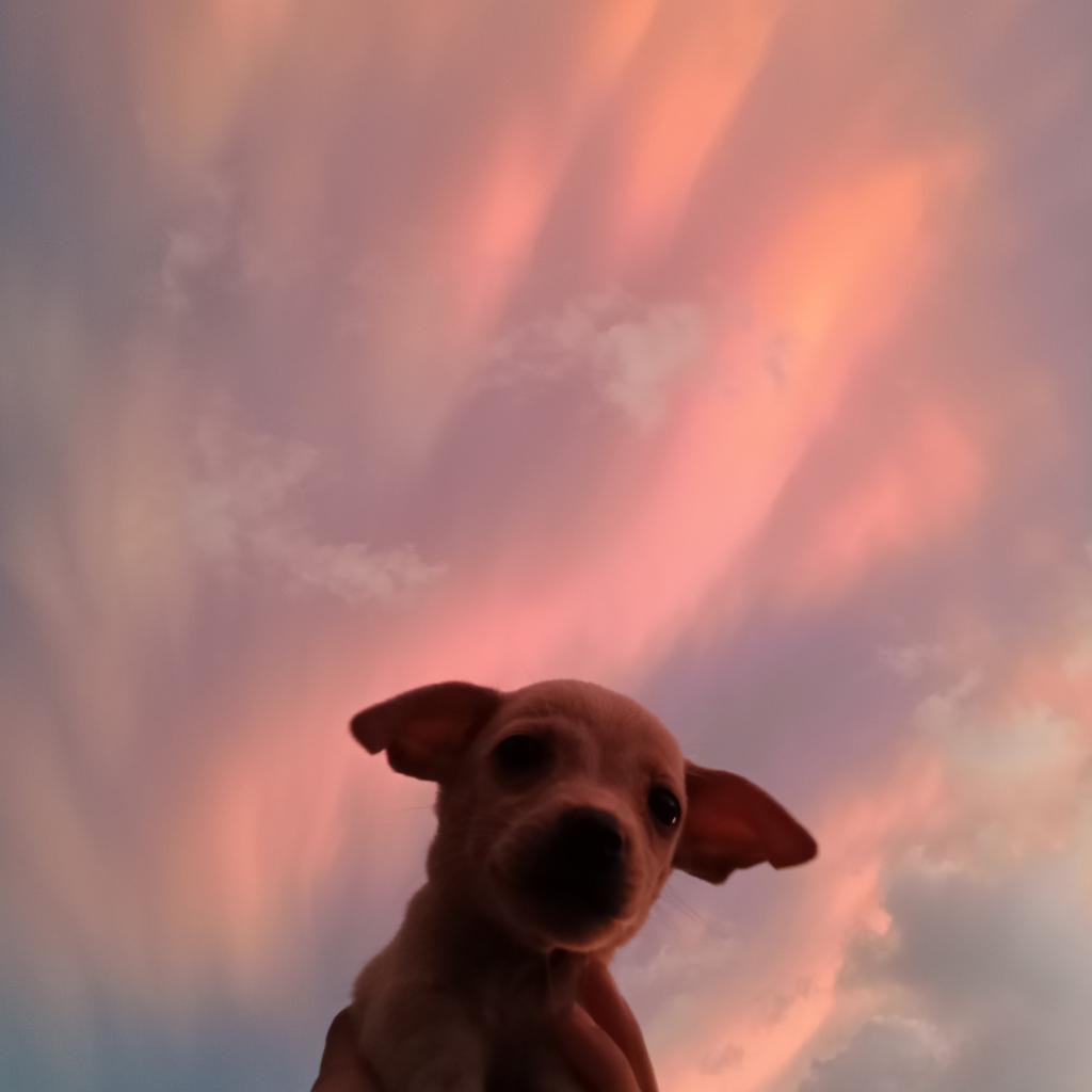 cracker_ms's tweet image. Kyotie patotie 🖤✨