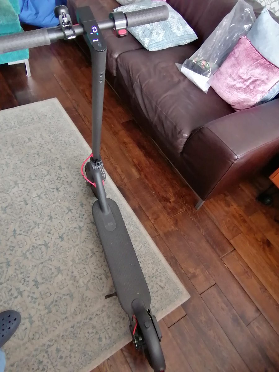 Barra Fitzgibbon tweet media