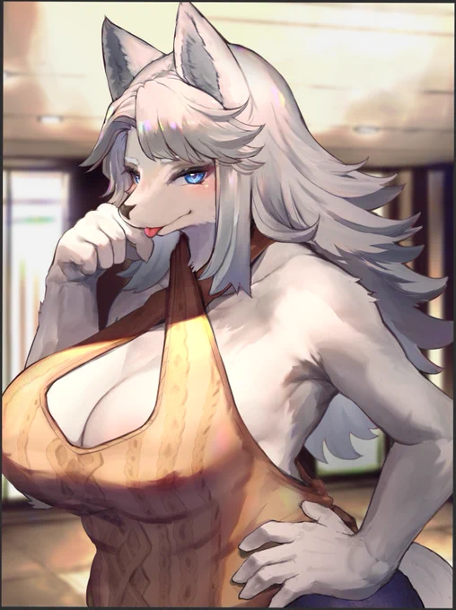 🐺🐺🐺 