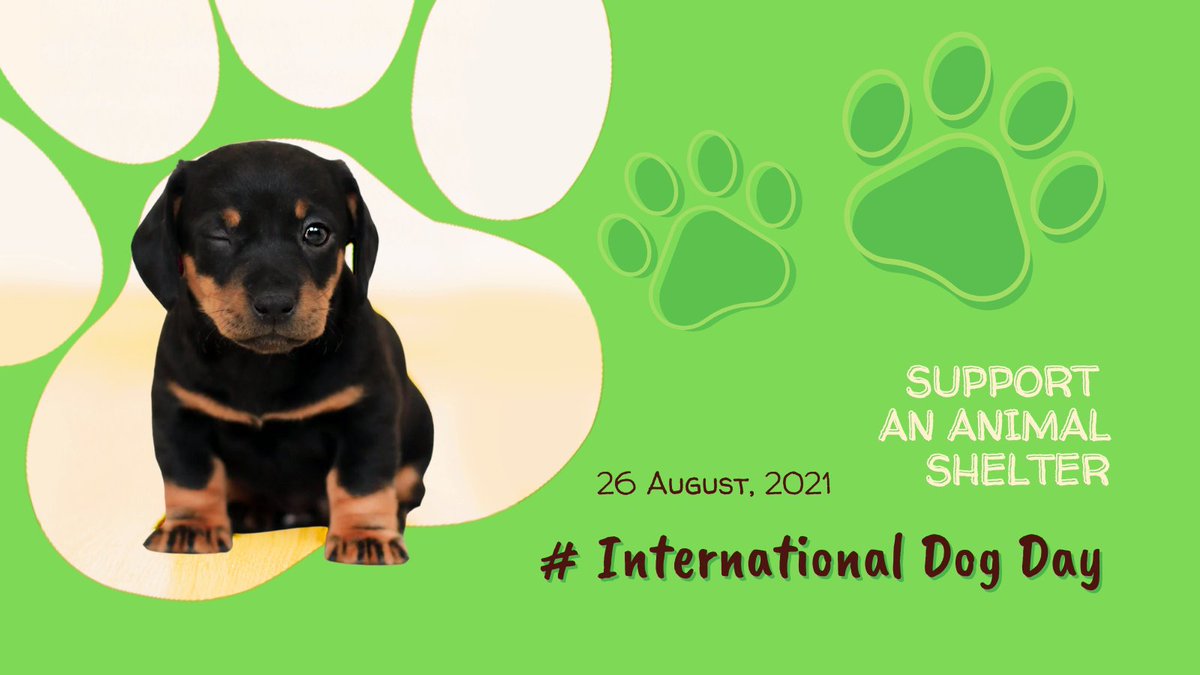 DropPointHQ's tweet image. Happy #internationaldogday 🐶💚! To the dog &amp;amp; animal lovers in the UK: 
We have animal shelters and dog rescues you can support with food, blankets and toys. If you are an animal welfare non-profit seeking donations, you are welcome to join us #dog #animalshelter #dogrescue