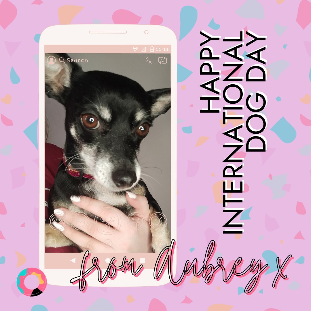 offbeatwebuk's tweet image. Our doggy director of good times will be accepting treats and cuddles all day! 😂

#InternationalDogDay #marketingtwitter