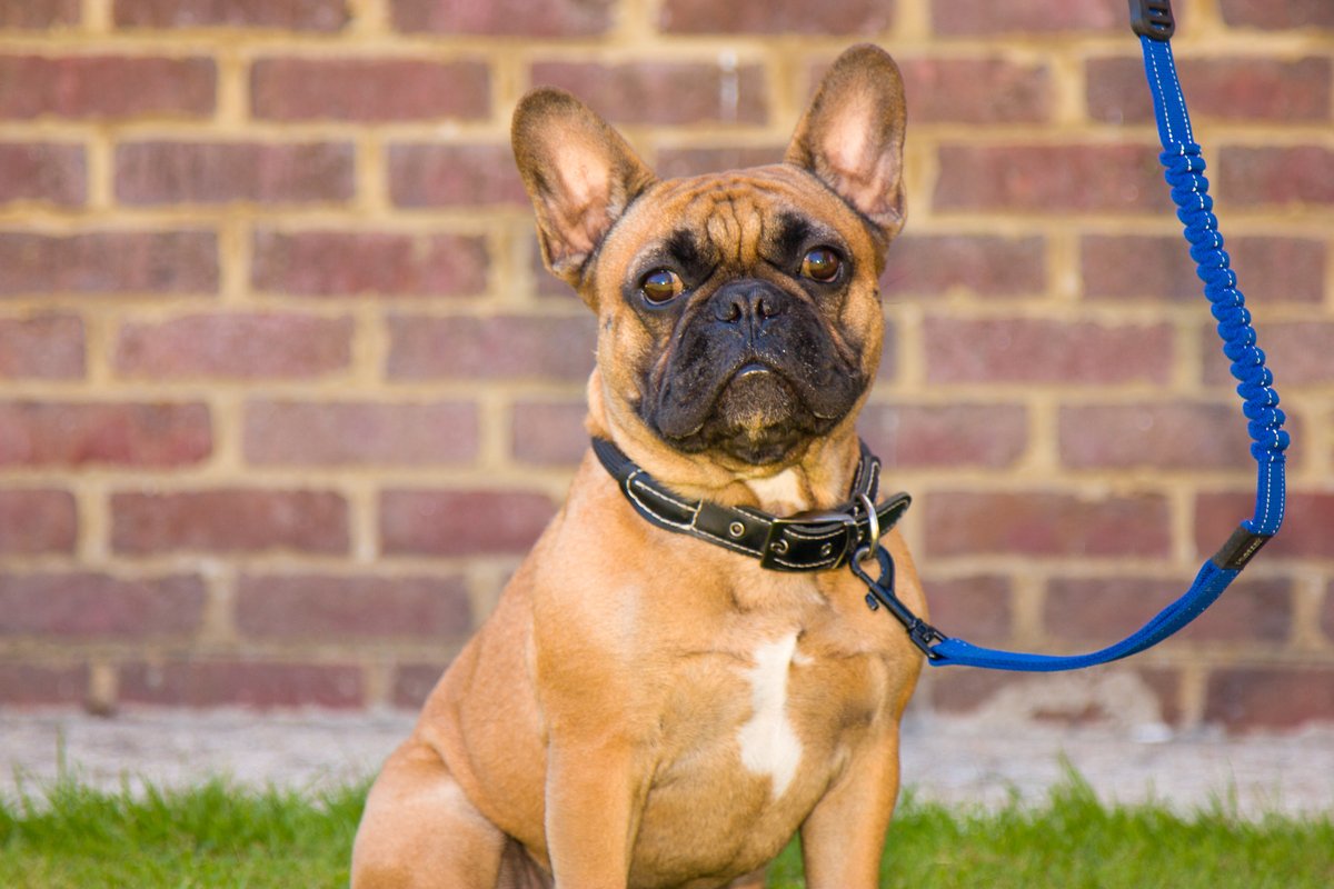 Anchor Systems International Ltd tweet media