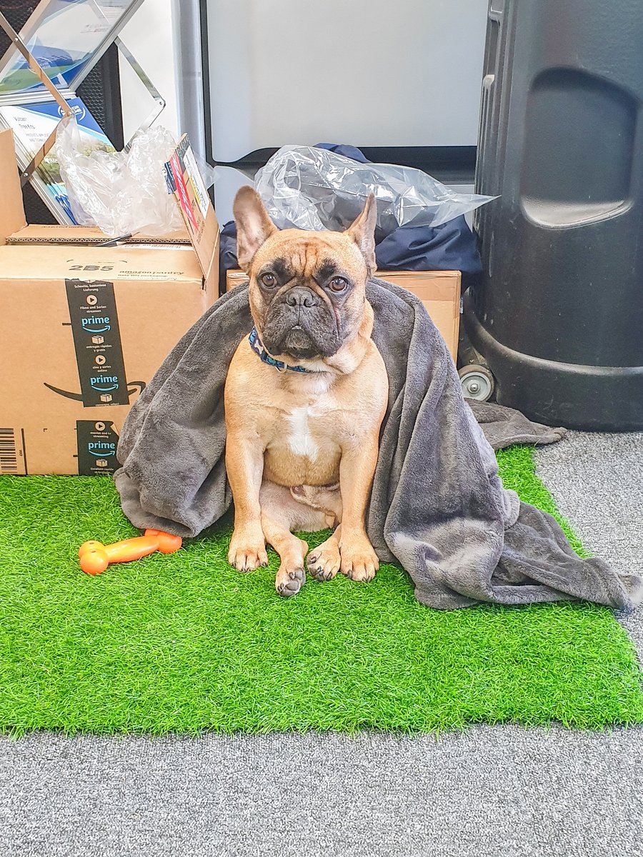 Anchor Systems International Ltd tweet media