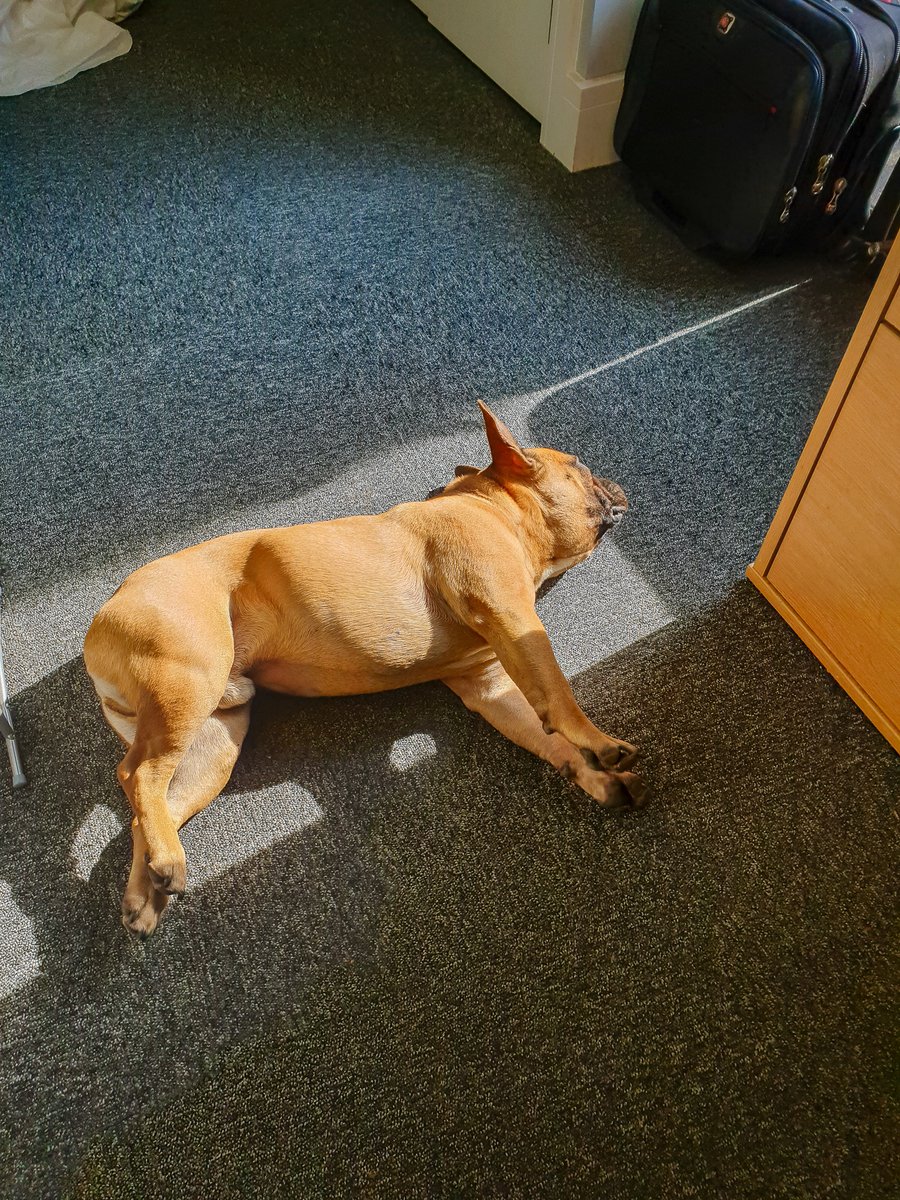 Anchor Systems International Ltd tweet media